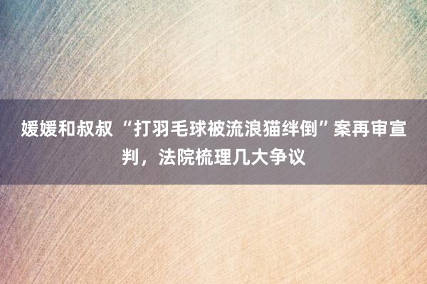 媛媛和叔叔 “打羽毛球被流浪猫绊倒”案再审宣判，法院梳理几大争议