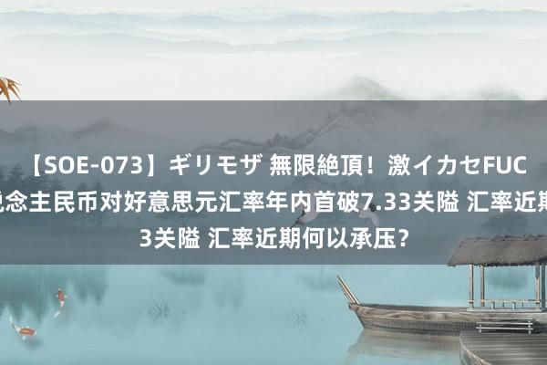 【SOE-073】ギリモザ 無限絶頂！激イカセFUCK Ami 东说念主民币对好意思元汇率年内首破7.33关隘 汇率近期何以承压？