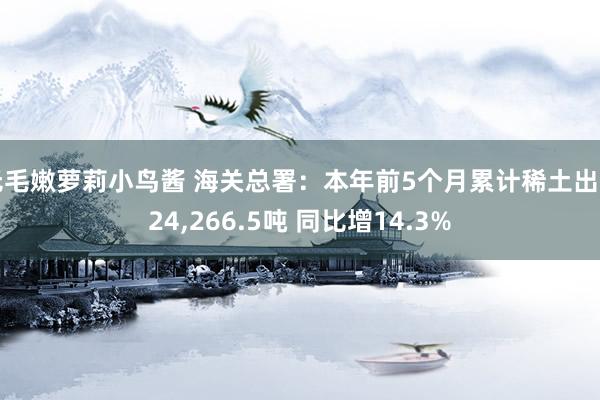 无毛嫩萝莉小鸟酱 海关总署：本年前5个月累计稀土出口24，266.5吨 同比增14.3%