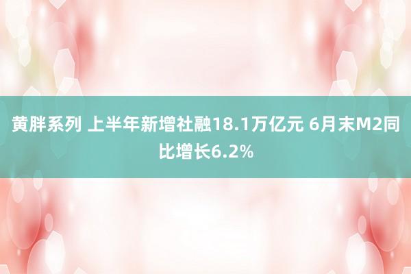 黄胖系列 上半年新增社融18.1万亿元 6月末M2同比增长6.2%