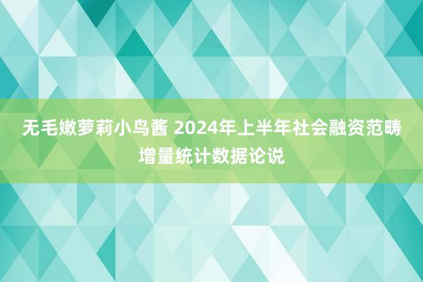 无毛嫩萝莉小鸟酱 2024年上半年社会融资范畴增量统计数据论说