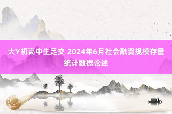 大Y初高中生足交 2024年6月社会融资规模存量统计数据论述