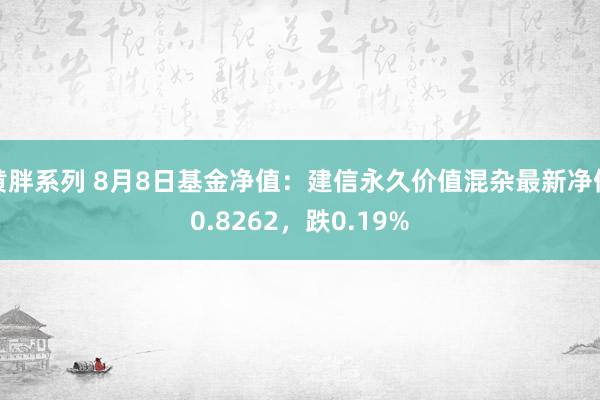 黄胖系列 8月8日基金净值：建信永久价值混杂最新净值0.8262，跌0.19%