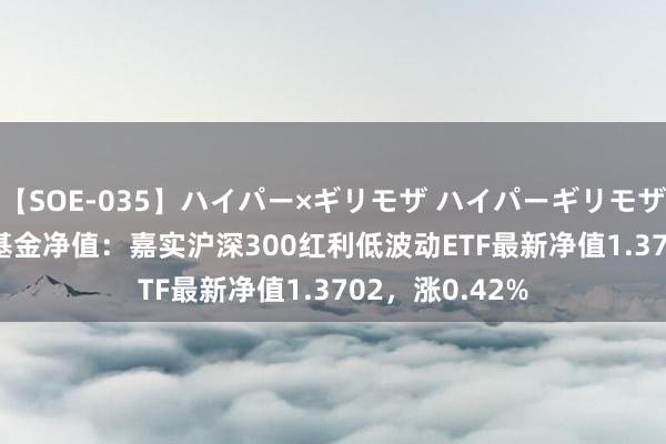 【SOE-035】ハイパー×ギリモザ ハイパーギリモザ Ami 8月8日基金净值：嘉实沪深300红利低波动ETF最新净值1.3702，涨0.42%