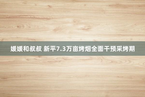 媛媛和叔叔 新平7.3万亩烤烟全面干预采烤期