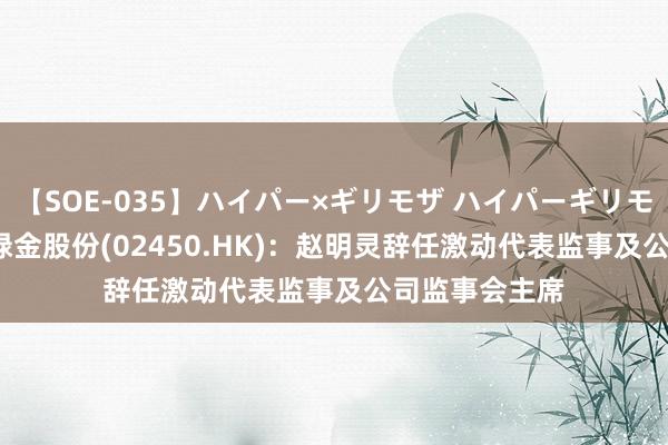 【SOE-035】ハイパー×ギリモザ ハイパーギリモザ Ami 淮北绿金股份(02450.HK)：赵明灵辞任激动代表监事及公司监事会主席