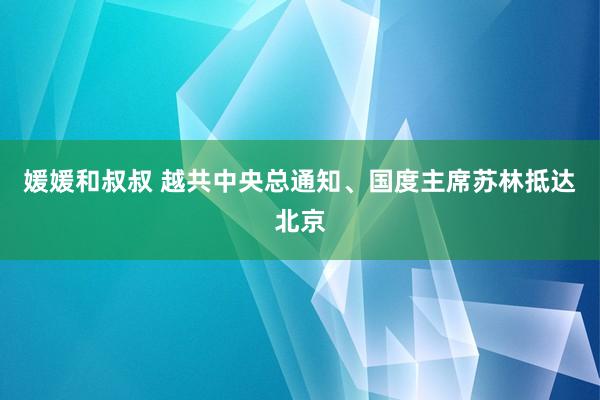 媛媛和叔叔 越共中央总通知、国度主席苏林抵达北京