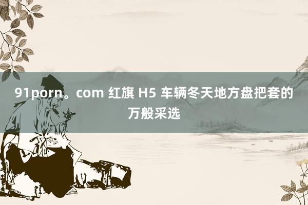 91porn。com 红旗 H5 车辆冬天地方盘把套的万般采选