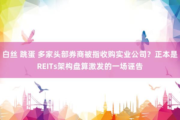 白丝 跳蛋 多家头部券商被指收购实业公司？正本是REITs架构盘算激发的一场诬告