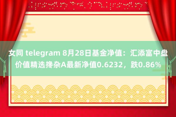 女同 telegram 8月28日基金净值：汇添富中盘价值精选搀杂A最新净值0.6232，跌0.86%