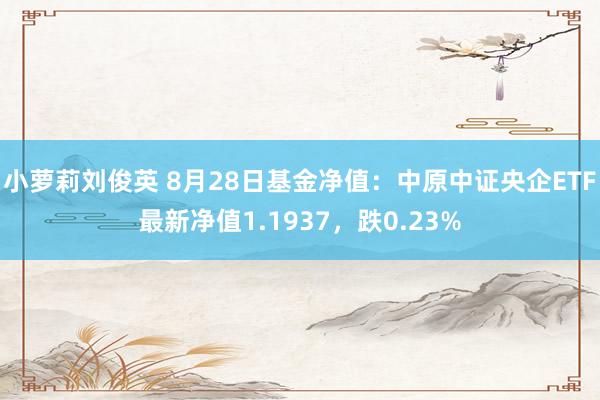 小萝莉刘俊英 8月28日基金净值：中原中证央企ETF最新净值1.1937，跌0.23%