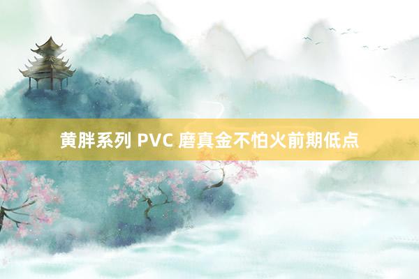 黄胖系列 PVC 磨真金不怕火前期低点