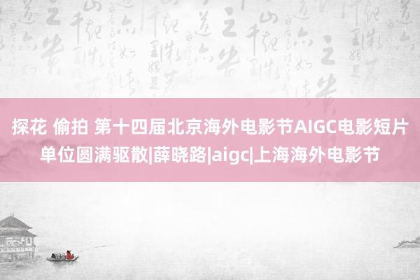 探花 偷拍 第十四届北京海外电影节AIGC电影短片单位圆满驱散|薛晓路|aigc|上海海外电影节